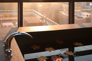 [주니어스위트특가] Sweet Spa Night