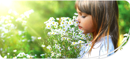 봄 향기 패키지'