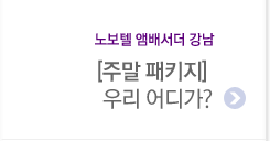 노보텔 앰배서더 강남